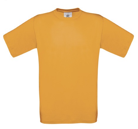 Meistershirt Fußball BASIC mit beidseitigem Druck