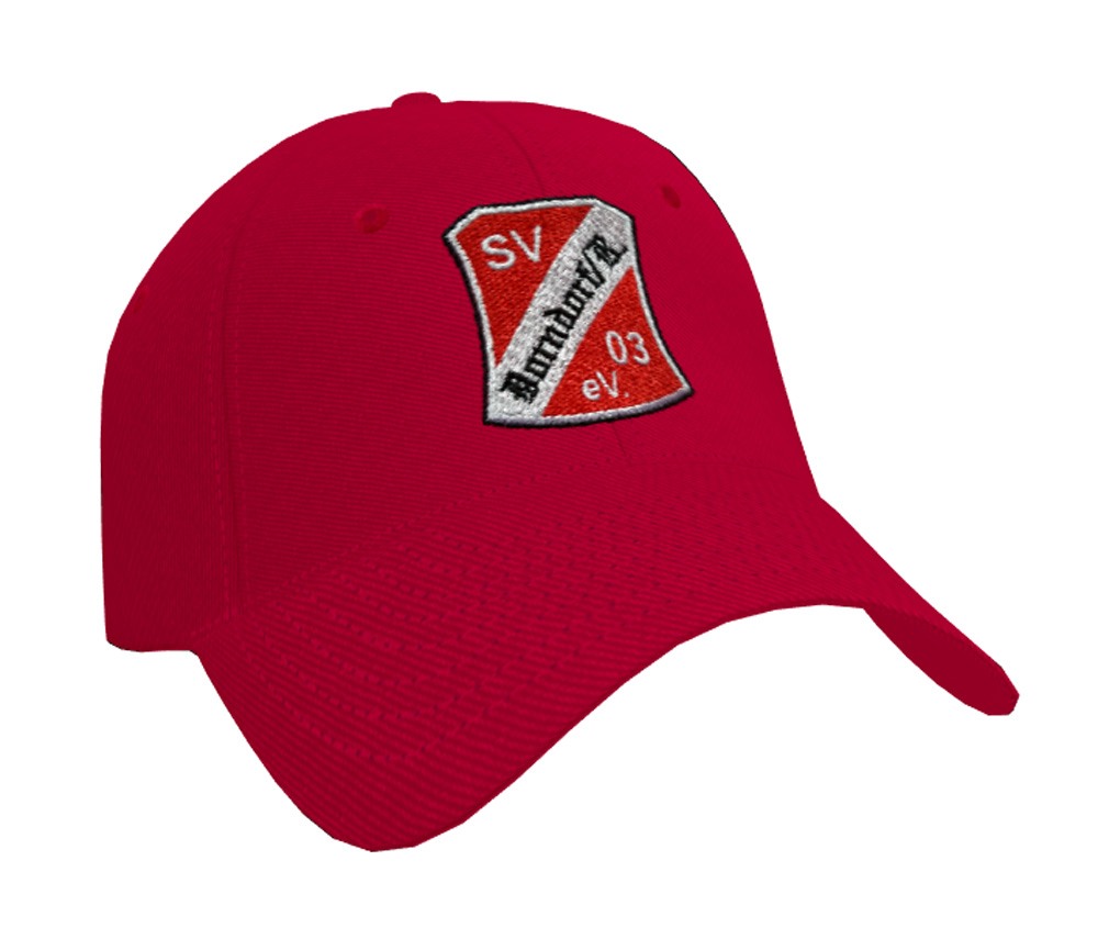 Pro-Style Heavy Brushed Cotton Cap B65 mit Logo-Stickerei