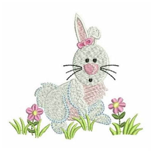 Hase
