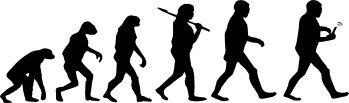 Evolution "Handy"