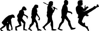 Evolution "Karate"