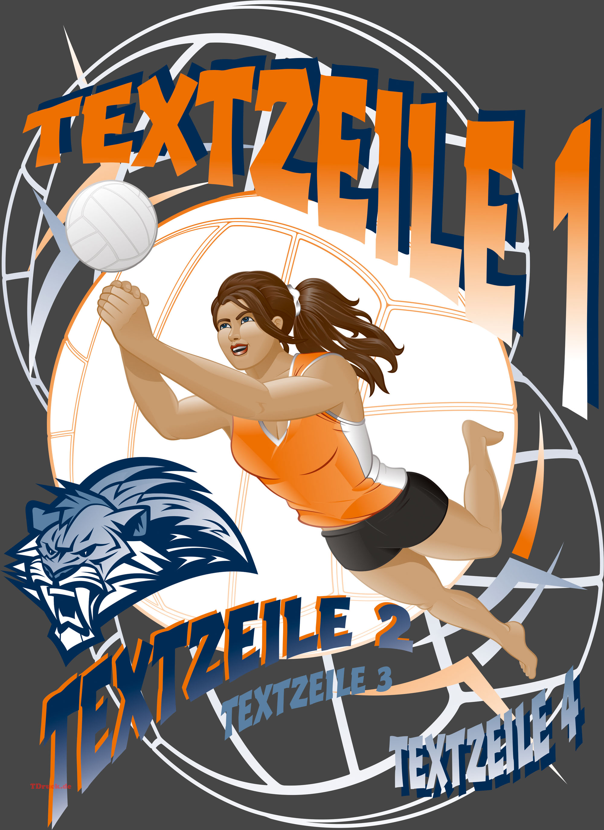 Motiv Volleyball 03