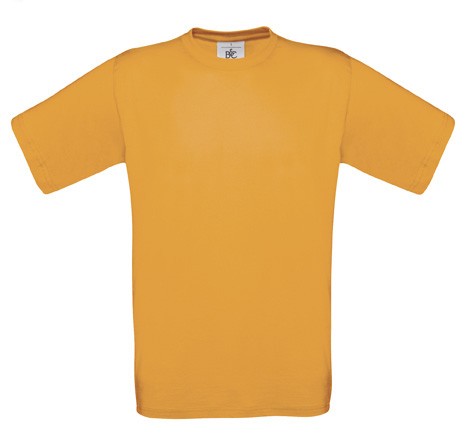 Meistershirt Basketball BASIC mit beidseitigem Druck